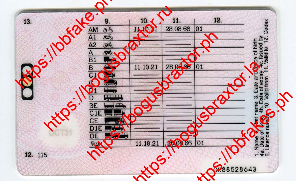 UK DRIVING LICENCE - Image 6
