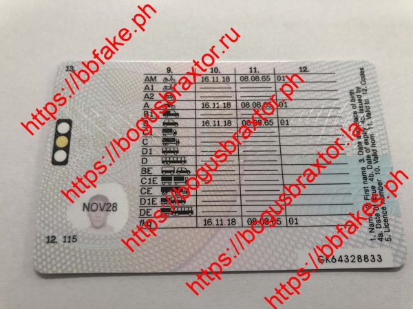 UK DRIVING LICENCE - Image 5
