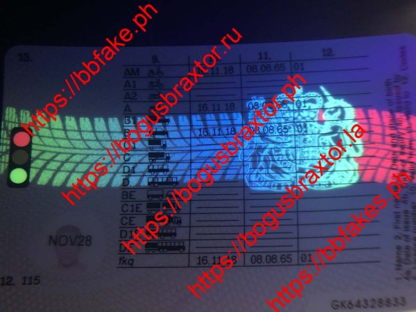 UK DRIVING LICENCE - Image 3