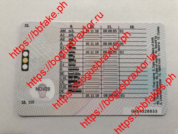 UK DRIVING LICENCE - Image 2
