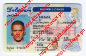 Delaware(New DE U21)