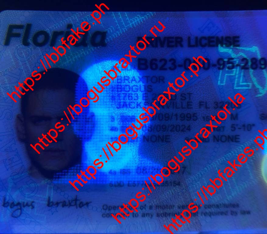 Florida(New FL O21 V1) - Image 3