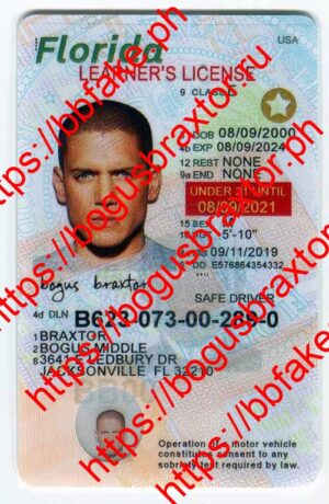 Florida(New FL U21 LEARNER)