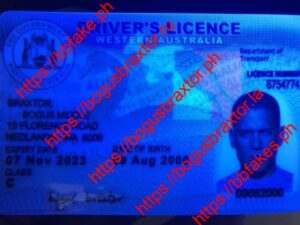 Western Australia Provisional
