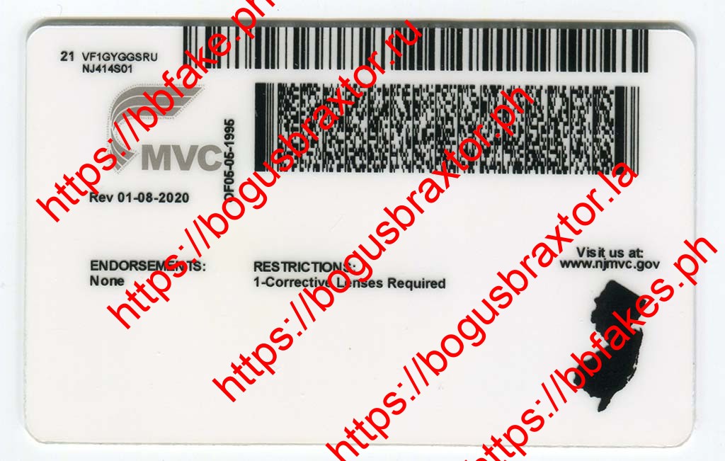 New Jersey(NJ 2021) - Image 2